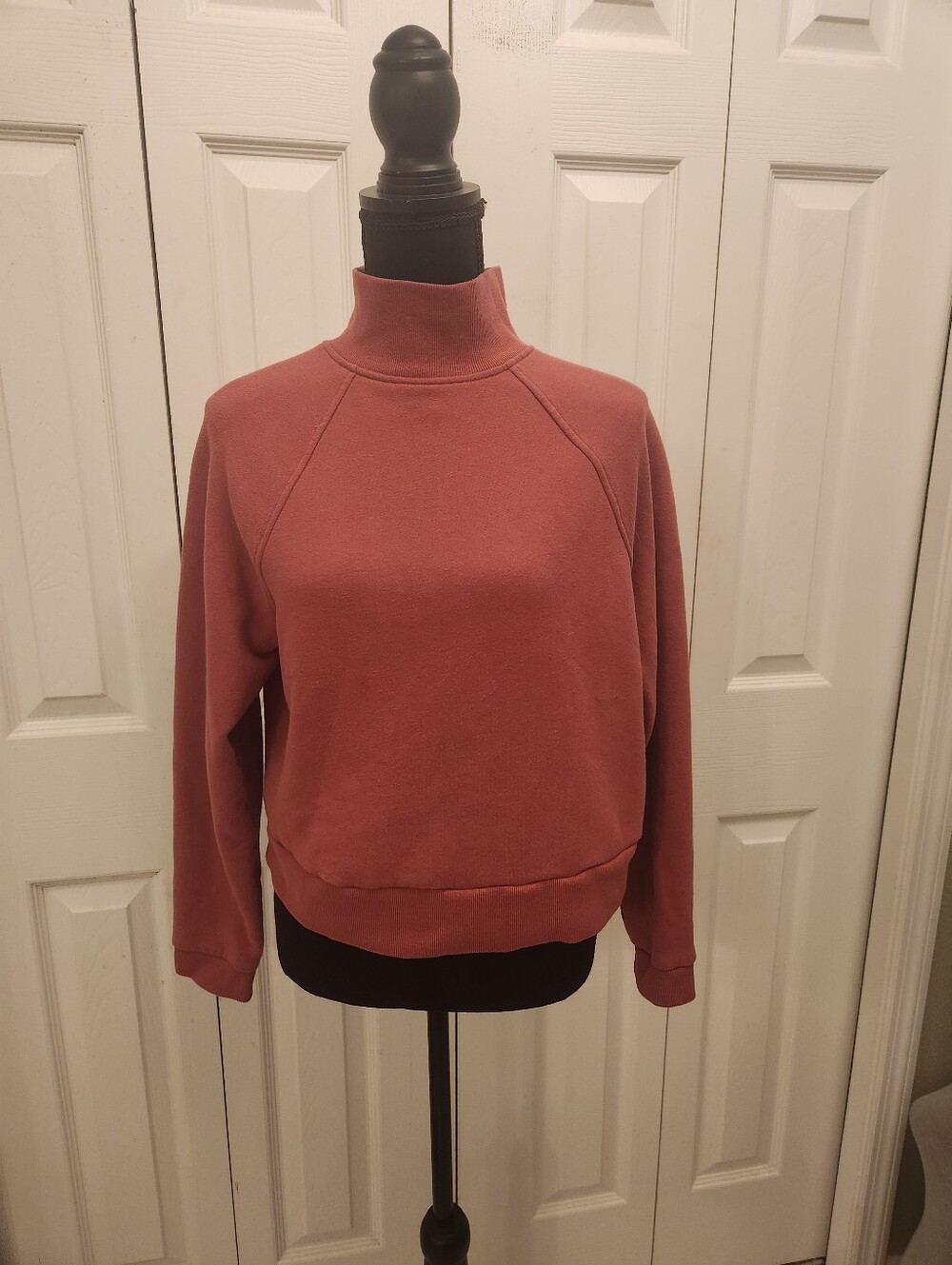 A New Day Pumpkin  Mock Neck Pullover Crop Sweatshirt